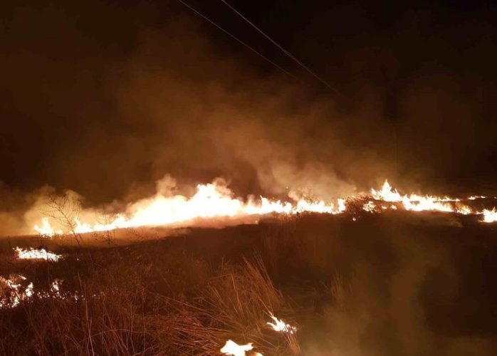 Isparta Gönen’de Ormanlık Alanda Yangın Çıktı